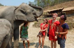 elephant tourism